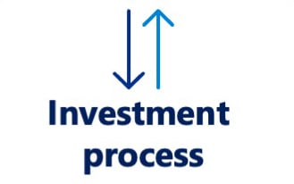 investment process