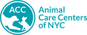 ACC of NYC logo