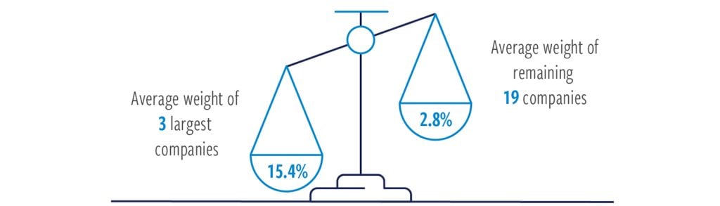 Largest traditional index dominated by three companies